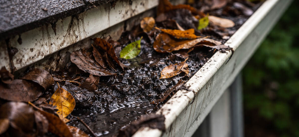 Zero Waste Gutter Clean